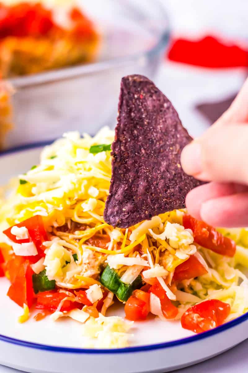 Plated taco dip with hand holding blue chip about to dip into .