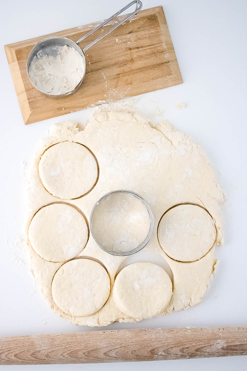 Dough rolled out and a cutter making circles in the dough to form the biscuits.