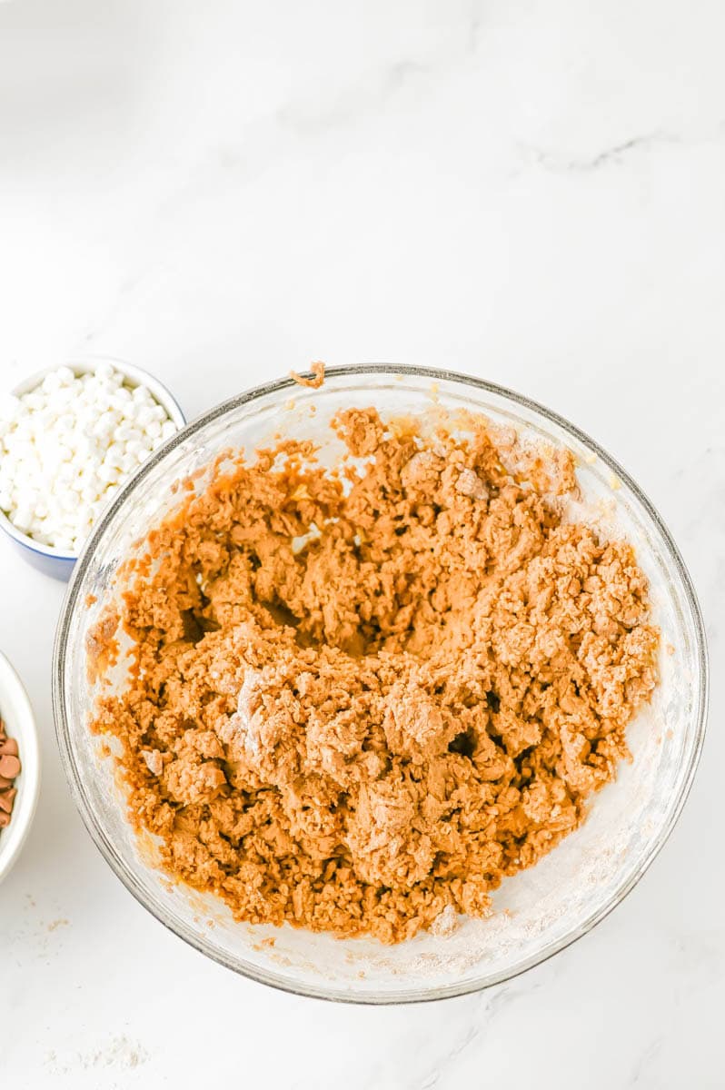 The wet and dry cookie ingredients combined.