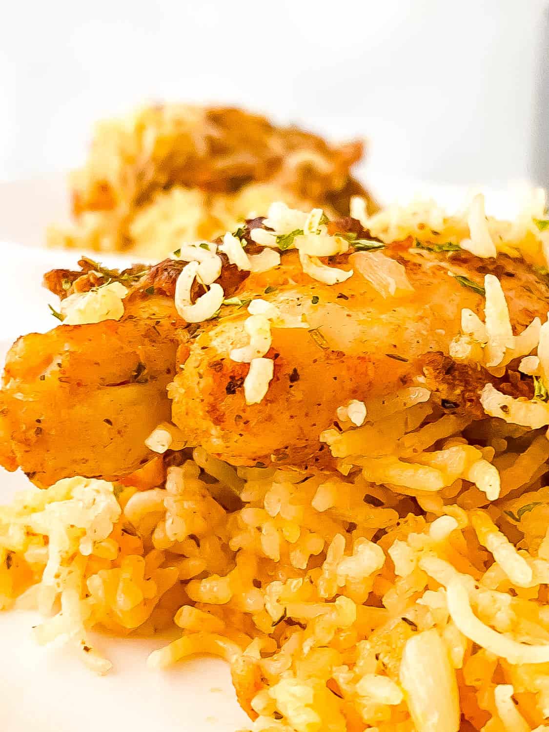 Close up of the chicken and rice on a white plate.
