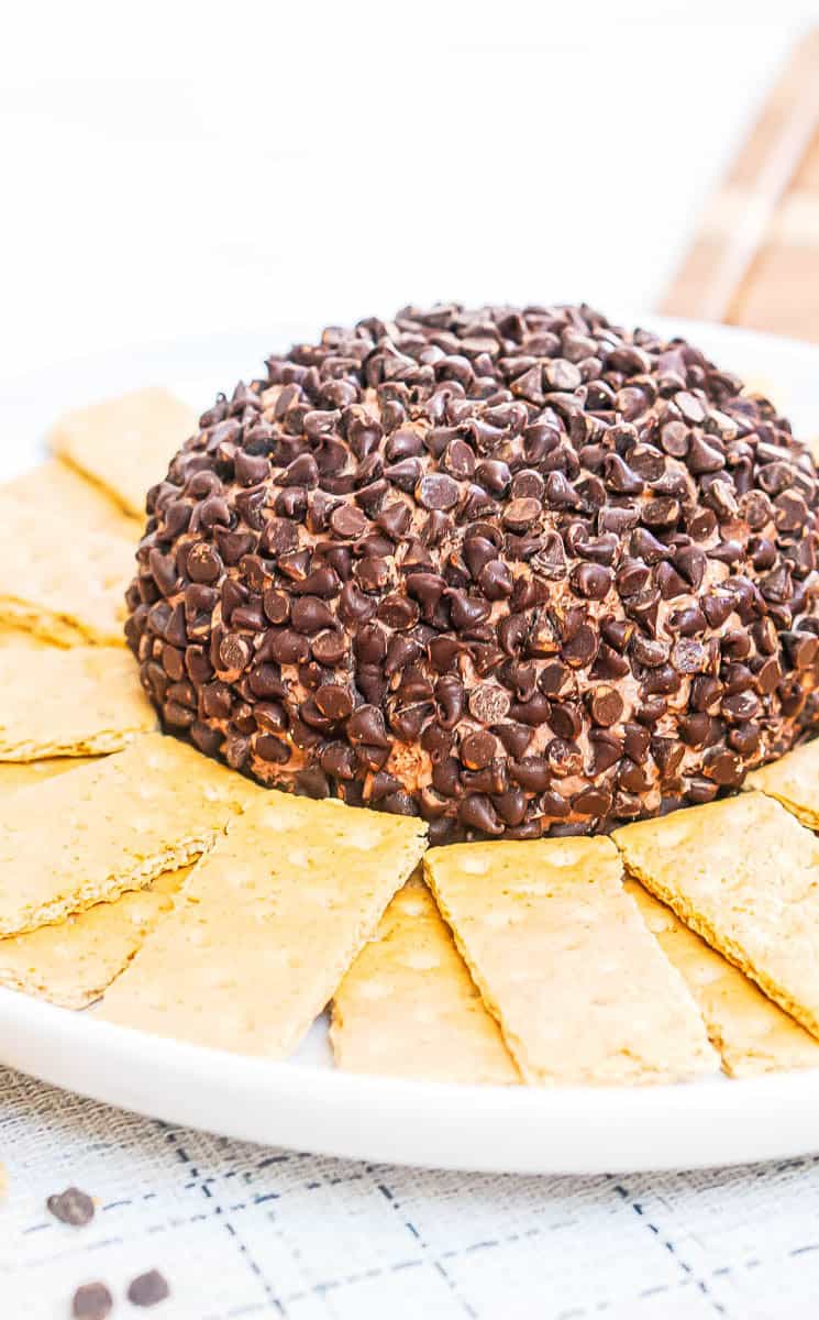 Dessert brownie batter dip ball with graham crackers surrounding it on white background.