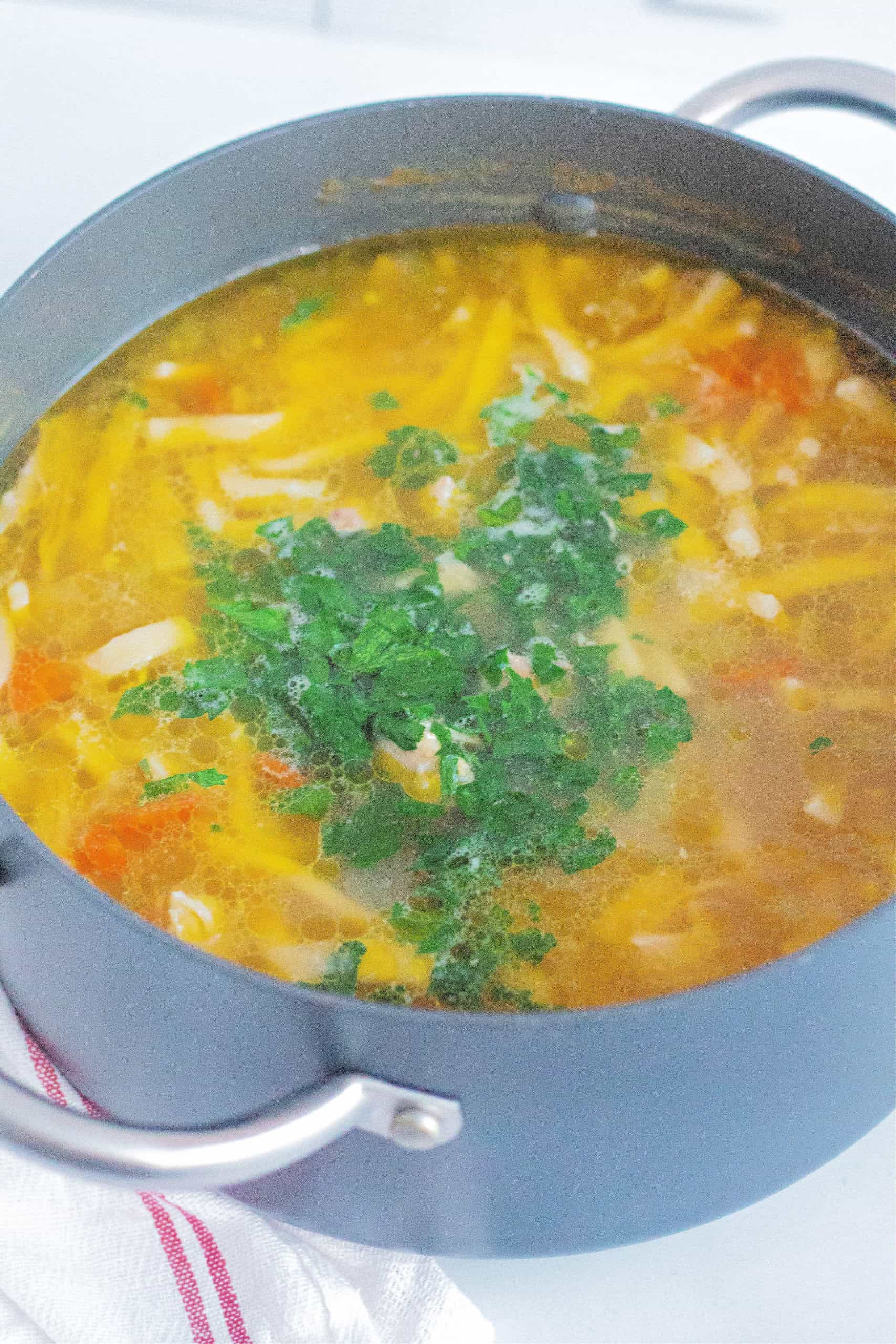 Parsley added to soup